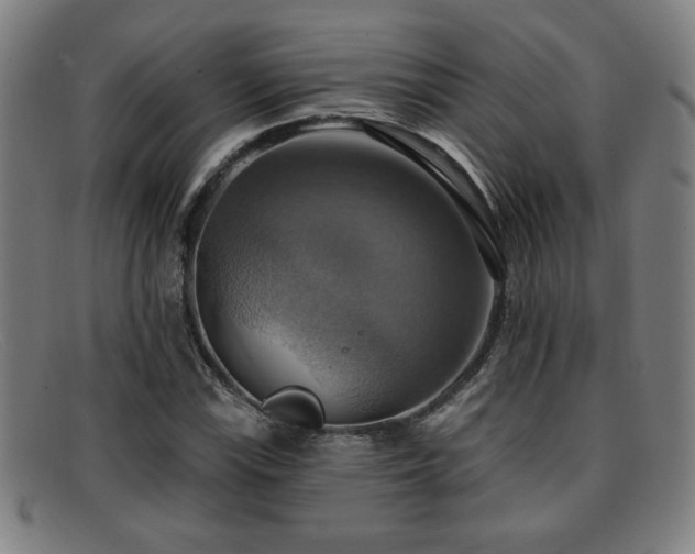 X0000092111115200709121613