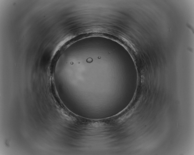 X0000092111117200709121613