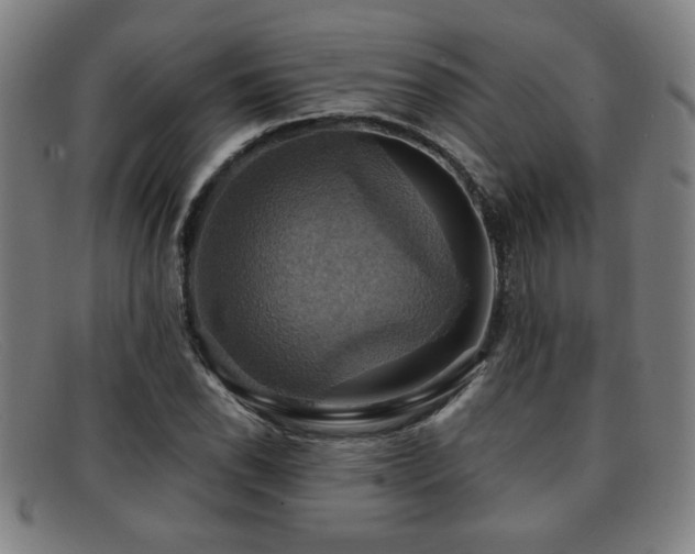 X0000092111118200709121613