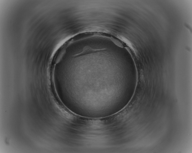 X0000092111120200709121613