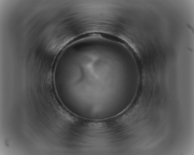 X0000092111121200709121613