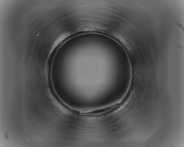 X0000092111122200709121613