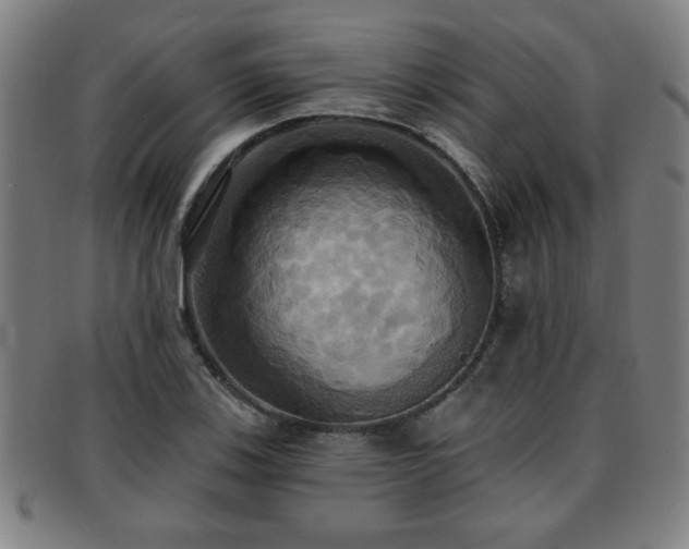 X0000092111123200709121613