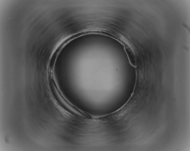 X0000092111124200709121613