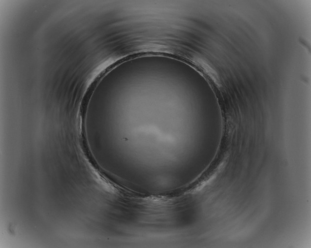 X0000092111125200709121613