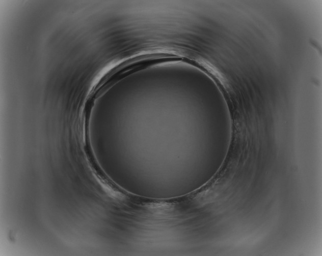 X0000092111127200709121613