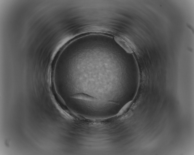 X0000092111128200709121613