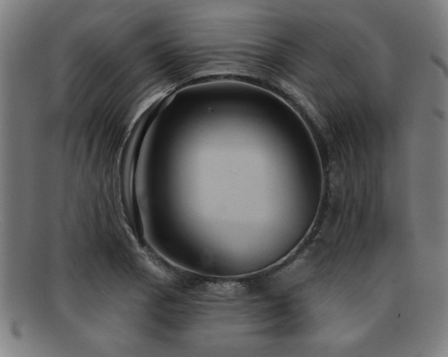 X0000092111129200709121613