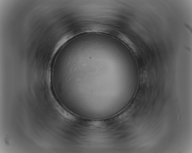 X0000092111130200709121613