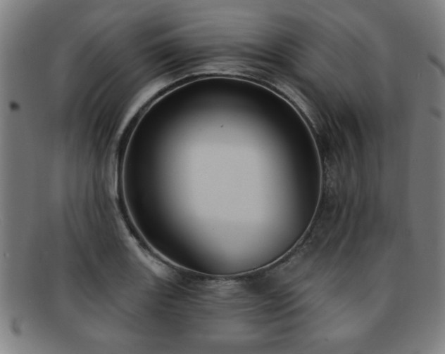 X0000092111131200709121613