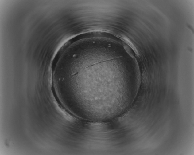 X0000092111132200709121613