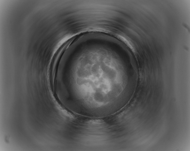 X0000092111133200709121613