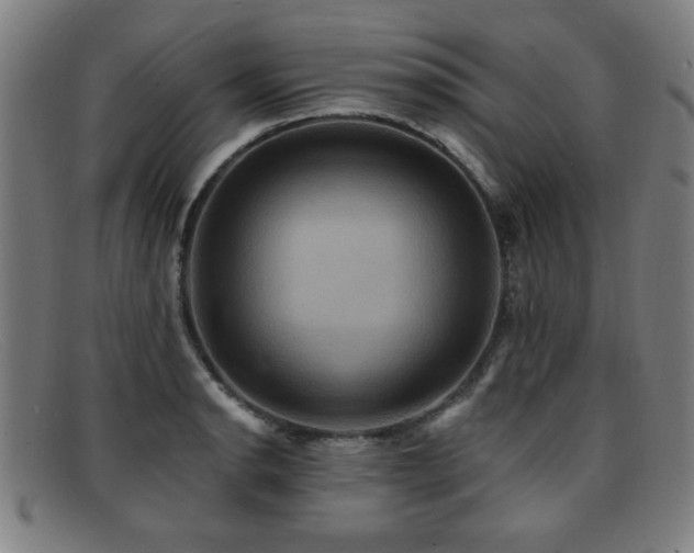 X0000092111134200709121613