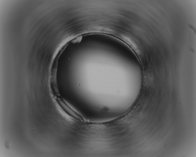 X0000092111136200709121613