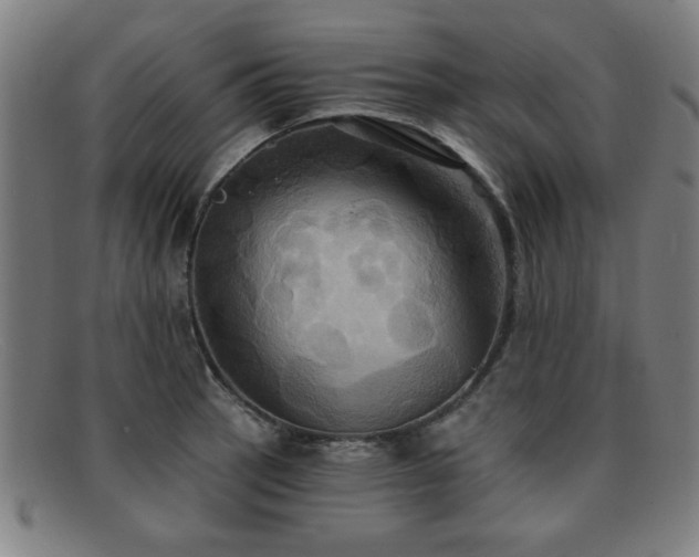 X0000092111137200709121613