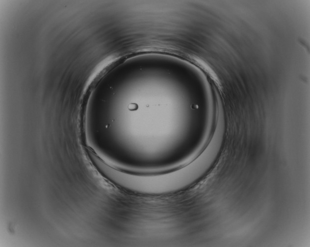 X0000092111138200709121613