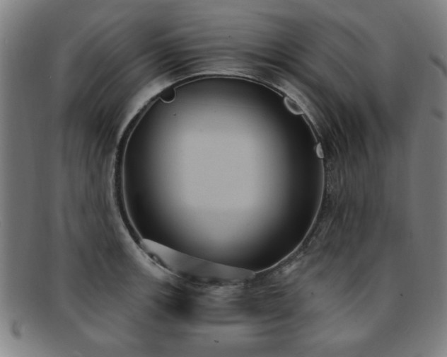 X0000092111139200709121613