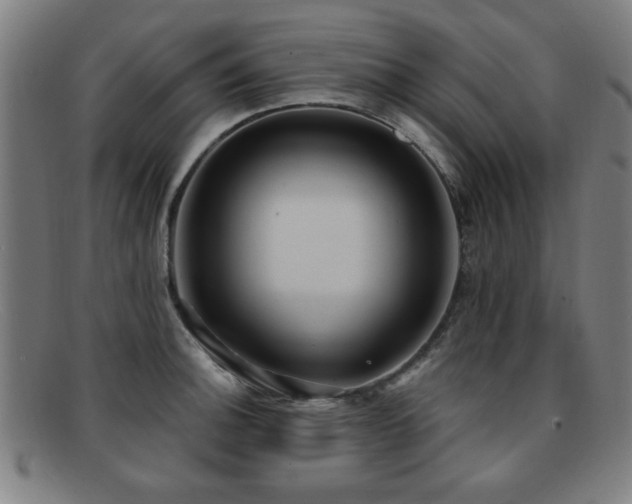 X0000092111140200709121613