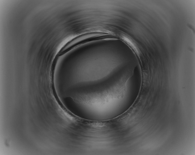 X0000092111141200709121613