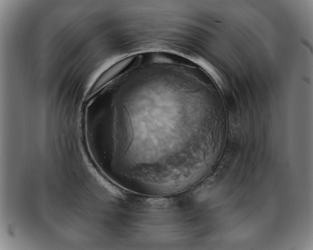 X0000092111142200709121613