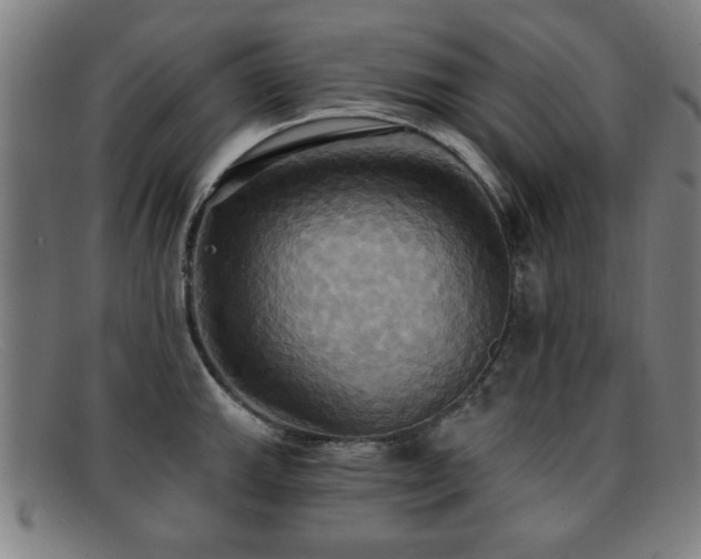 X0000092111143200709121613