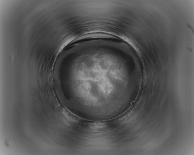 X0000092111145200709121613