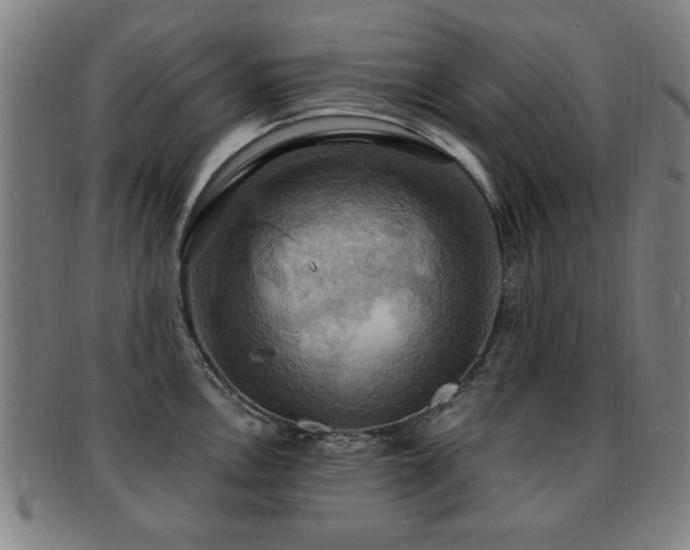 X0000092111146200709121613