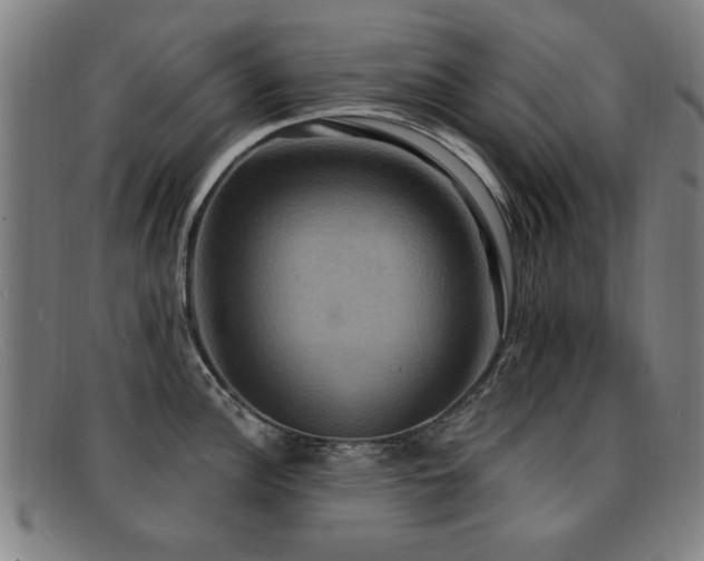 X0000092111148200709121613