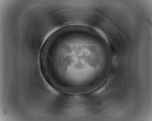 X0000092111149200709121613