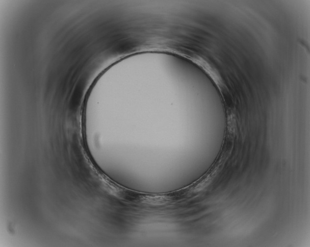 X0000092111150200709121613