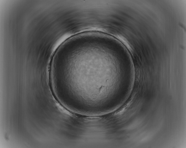 X0000092111151200709121613