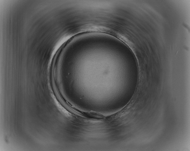 X0000092111152200709121613