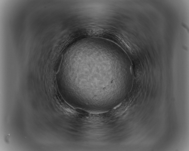 X0000092111153200709121613