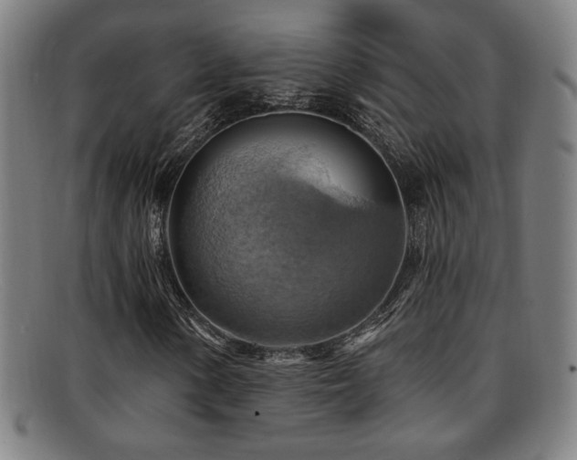 X0000092111154200709121613