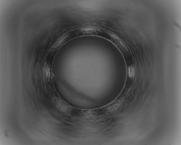 X0000092111155200709121613