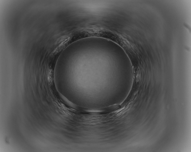 X0000092111156200709121613