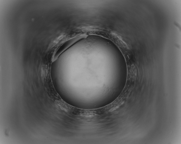 X0000092111157200709121613