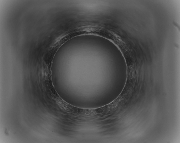 X0000092111158200709121613