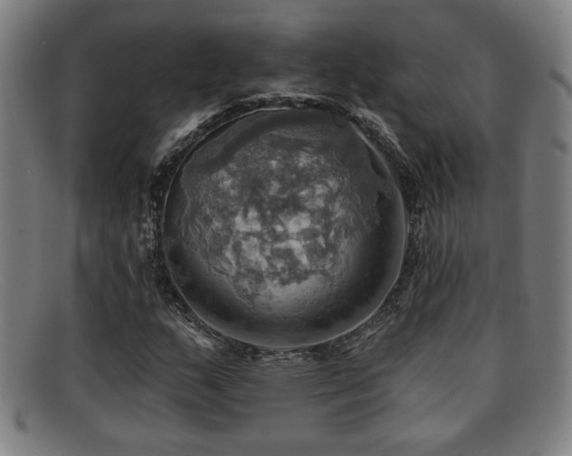 X0000092111159200709121613