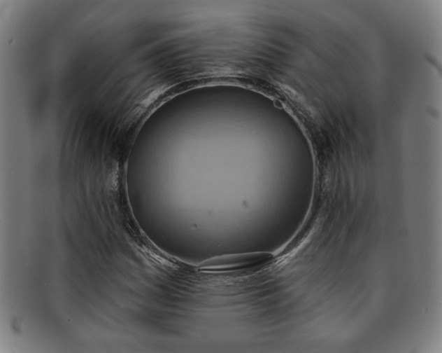 X0000092111161200709121613