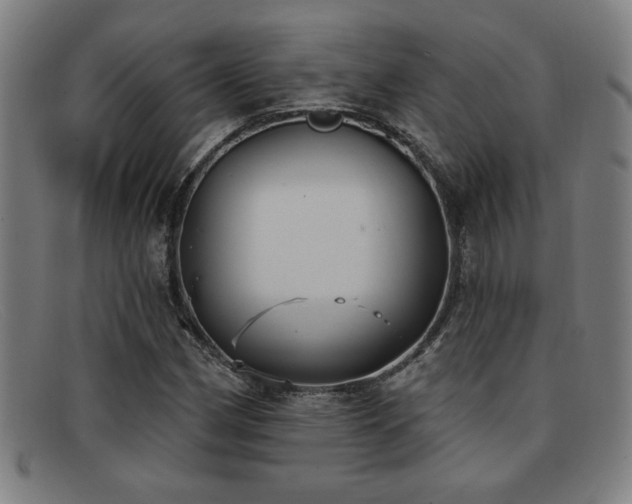 X0000092111162200709121613