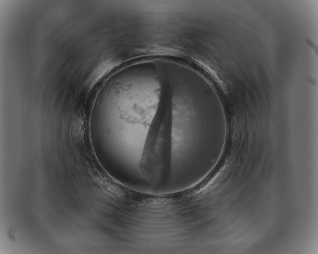 X0000092111163200709121613