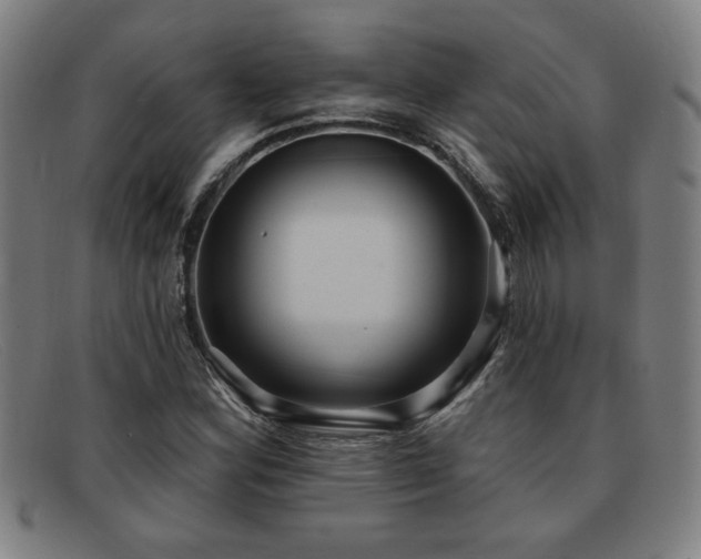 X0000092111164200709121613