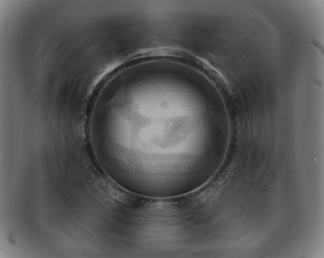 X0000092111166200709121613