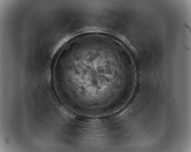 X0000092111167200709121613