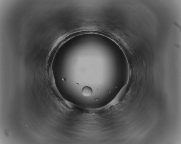 X0000092111168200709121613