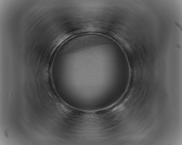 X0000092111170200709121613