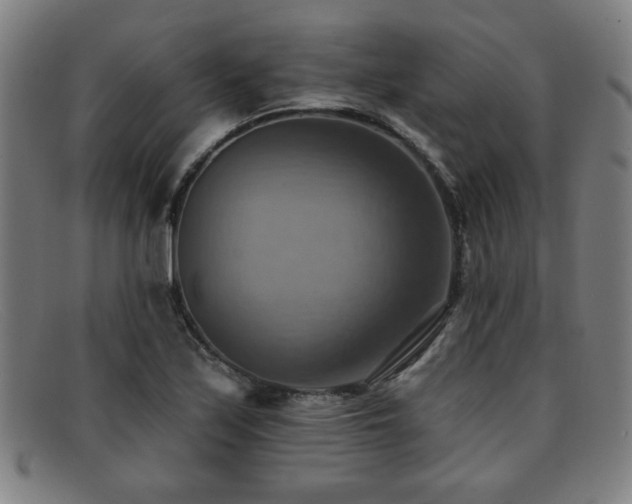 X0000092111171200709121613