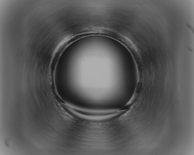 X0000092111172200709121613