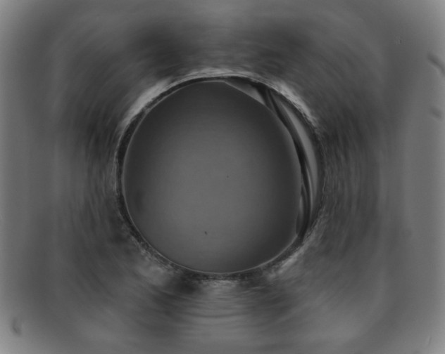 X0000092111173200709121613